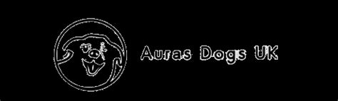 aura dog rescue|auras dogs website.